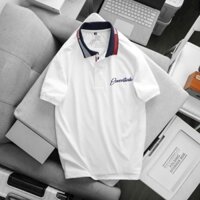 Áo Thun Polo Nam Havis Chất Cotton Mịn Mát Logo Thêu Sang Trọng AXK355