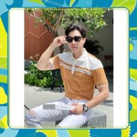 Áo thun polo nam nữ tay ngắn nâu 2 sọc ngực hàn quốc giá rẻ chất lượng cao Hokodo