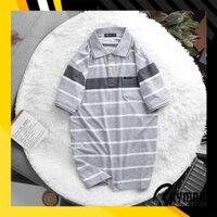 Áo Thun Polo Nam Sọc Ngang Cổ Bẻ Có Túi RAYMAN Trung Niên