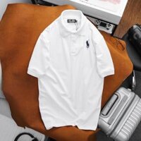 AO THUN POLO NAM TAY NGĂN BIG SIZE TƠI 130KG CHÂT VAI CA SÂU - TRANG,8XL