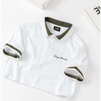 Áo Thun Polo Nam Thêu Theo Yêu Cầu Phối Màu Hiện Đại, Áo Polo Sợi Rayon Đứng Phom, Co Giãn Nhẹ