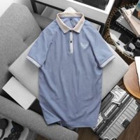 Áo thun polo nam trơn Basic Eagle cotton lạnh mềm mịn, áo thun trung niên tặng bố đẹp
