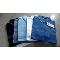 Áo thun Polo nam Việt Pháp vải thun lạnh cao cấp 98% cotton phong cách trẻ trung chuẩn form nhiều màu