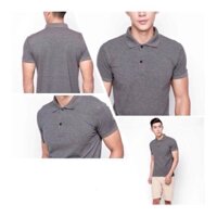 Áo thun Polo - Nam