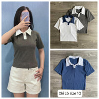 Áo thun polo nữ ôm tay ngắn
