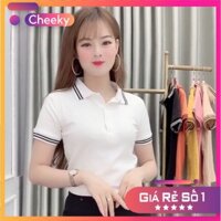 Áo Thun Polo Nữ Trơn Basic Tay Ngắn Cổ Bẻ Cotton Trẻ trung - Hanlly Fashion A21 mới