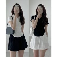 Áo thun polo trơn basic - Timii