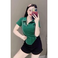 Áo thun polo vạt bầu