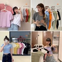 Áo thun Quảng Châu [Trả Order]