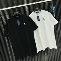 Áo thun Ralph Lauren Basic thêu ngựa cotton cao cấp