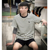 Áo Thun Ralph Laurent Ngựa Sọc Chất Vải 100% Cotton Logo Ngựa Thêu Cực Sắc Nét Không Nhăn Không Xù -Áo Phông Hot 2025