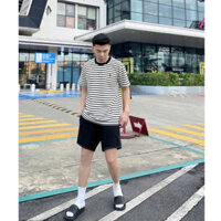 Áo Thun Ralph Ngựa Sọc Hàng Chất Vải 100% Dày Dặn Đạt Chuẩn VNXK - Sản Phẩm Full Tem Tag Túi Zip