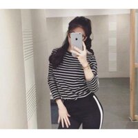 Áo thun sọc dài tay