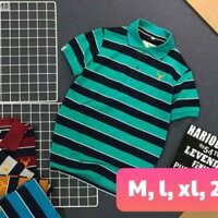 Áo thun sọc Yessir cá sấu cao cấp