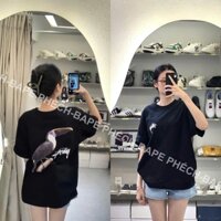 ÁO THUN STU.SSY TOUCAN FORM RỘNG NAM NỮ UNISEX VẢI COTTON CAO CẤP 280GSM - BAPE PHẾCH