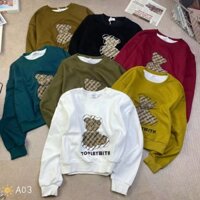Áo thun sweater nỉ nữ mùa đông thêu chữ gấu hàng Quảng Châu phong cách Hàn Quốc đẹp dày dặn ulzzang form vừa A03