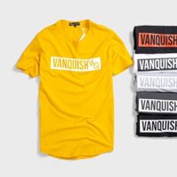 Áo Thun Tập Gym Nam Vanquish, Áo Phông Nam Gym Cotton Mịn Mát