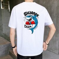 Áo Thun Tay Lỡ In Hrarkrs Cá Mập, Aó Thun Nam Nữ Unisex In Chữ Cá Tính -  ATIN18