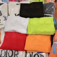 Áo thun tay lỡ nữ _freesize nên tương đối dễ mặc, dễ phối đồ, phù hợp với tất cả hoàn cảnh.