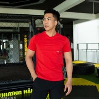 Áo thun tay ngắn HỌA TIẾT C.K ( AT298) Cotton 4 chiều - áo thời trang nam VNXK