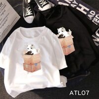 Áo thun teen nam nữ tay lỡ UNISEX NAM NỮ hình MÈO