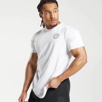Áo Thun Thể Thao Nam Gym Shark Cao Cấp Nam Tập Gym Thể Hình Chạy Bộ Chất Thun Lạnh Co Giãn 4 Chiều