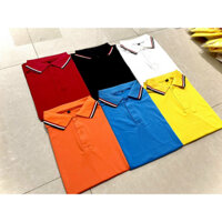 Áo thun thể thao polo cá sấu cổ bẻ trơn nhiều màu sọc viền (có in FREE theo yêu cầu)