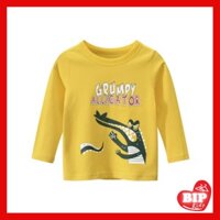 Áo Thun Trẻ Em Cho Bé Trai Cao Cấp Xuất Khẩu Hiệu 27KIDS 11295