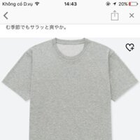 Áo thun Uniqlo