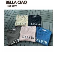 Áo thun unisex nam nữ form rộng tay lỡ GALVIN chất cotton đẹp cổ tròn basic phong cách hàn quốc basic