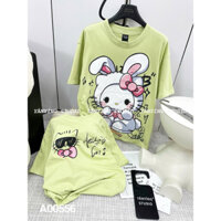 Áo thun unisex phong cách Hàn Sẻng ,Áo phông thêu kim sa hình thỏ dễ thương.chấn vải mềm mịn mát