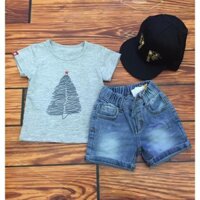 Áo thun xám cây thông size 5-12kg