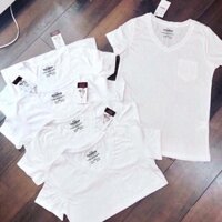 Áo thun xuất khẩu PULL BEAR