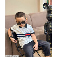 áo tommy cho nam