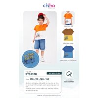 Áo Tshirt bé trai phối màu chất cotton AT014C