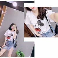 Áo vẩy sơn