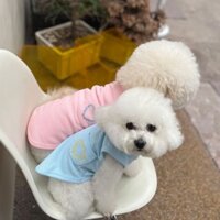 Áo vest mỏng cho chó mèo, quần áo cho chó con, mèo con, Teddy, Bichon, Pomeranian, Schnauzer