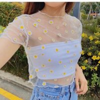 ÁO VOAN LƯỚI KIẾNG HOA CÚC ❤️