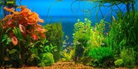 AOFOTO 20x10ft Aquarium Backdrop Decoration Blue Ocean Fish Deep Water Plants Seabed Scene Underwater Scene Background for Photography Kids Adutls ...