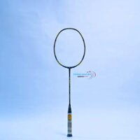 Apacs Z-Ziggler Limited