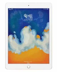 Apple iPad Gen 6 9.7 (2018)