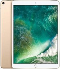 Apple iPad Pro 10.5in - 512GB Wifi - Mẫu 2017 - Vàng (Renew)