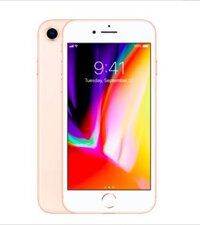 Apple iPhone 8 (256GB, Gold)