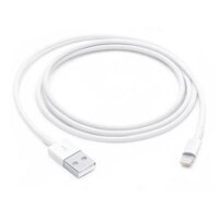 Apple Lightning to USB Cable 1m