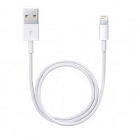 Apple lightning to USB cable 1M (C2-1M)