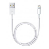 Apple Lightning to USB cable (Chính Hãng)