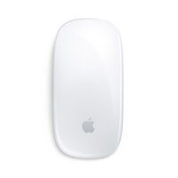 Apple Magic Mouse 2024 (USB‑C) – Multi-Touch Surface – Openbox