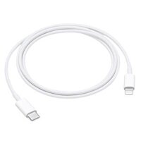 Apple USB-C to Lightning Cable (1m)