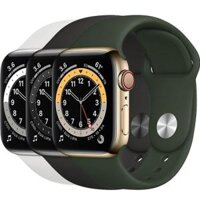 Apple Watch S6 40mm LTE Stainless Sport Band cũ