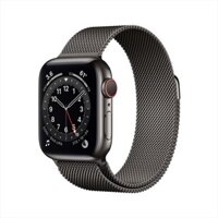 Apple Watch Series 6 GPS + Cellular 40mm Stainless Steel, Milanese Loop